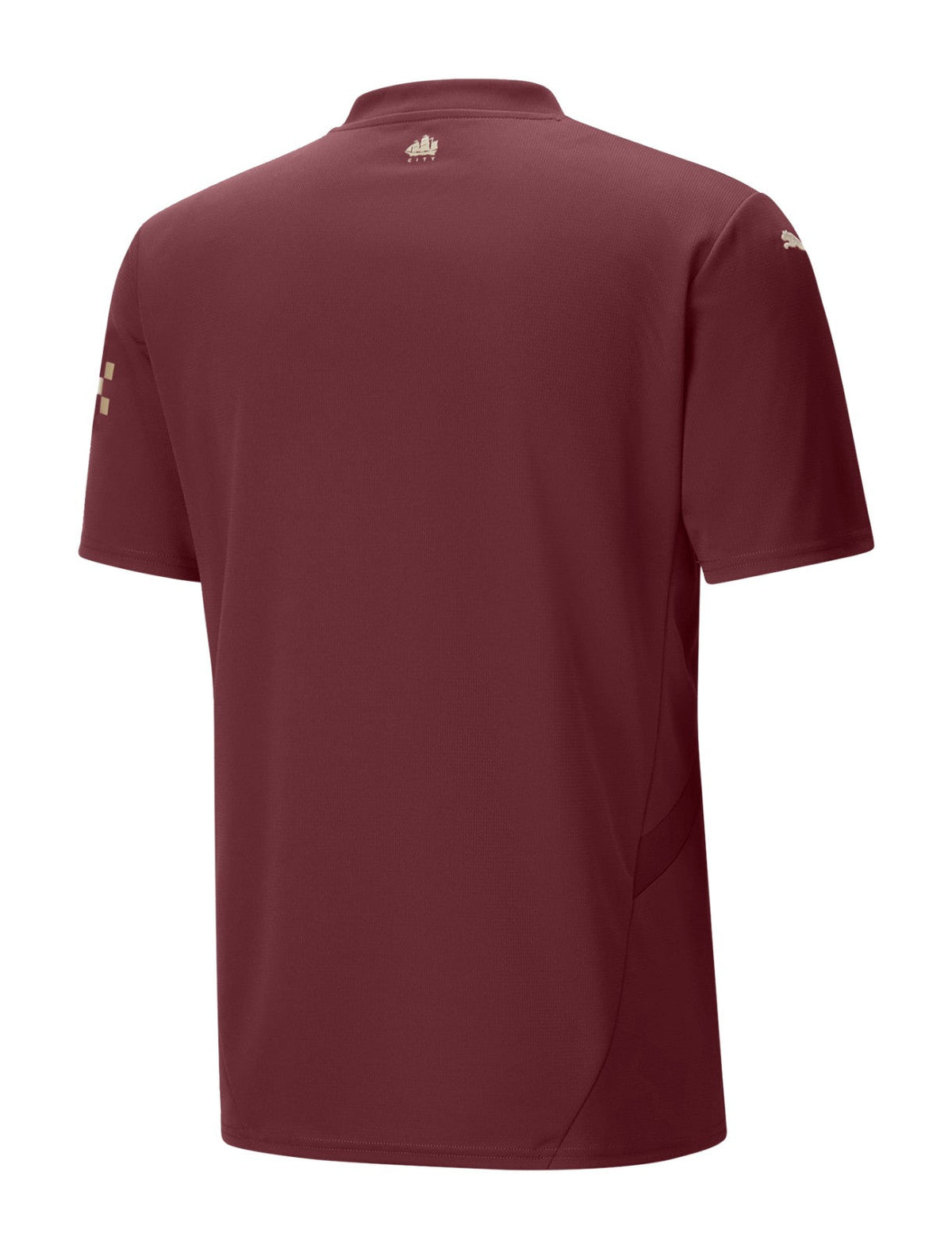 Manchester City 24/25 Third Jersey (Player Version)