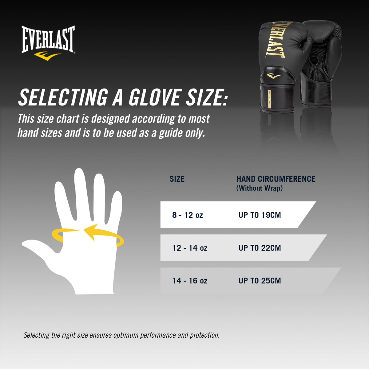 ELITE 2 BOXING GLOVES - BLACK