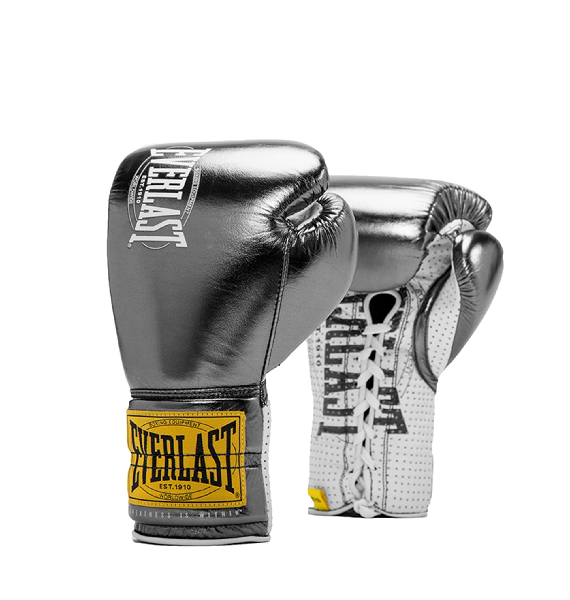 A pair of Everlast 1910 Pro Fight leather gloves in gun metal color with ventilated palms and the brand's logo on the cuffs.