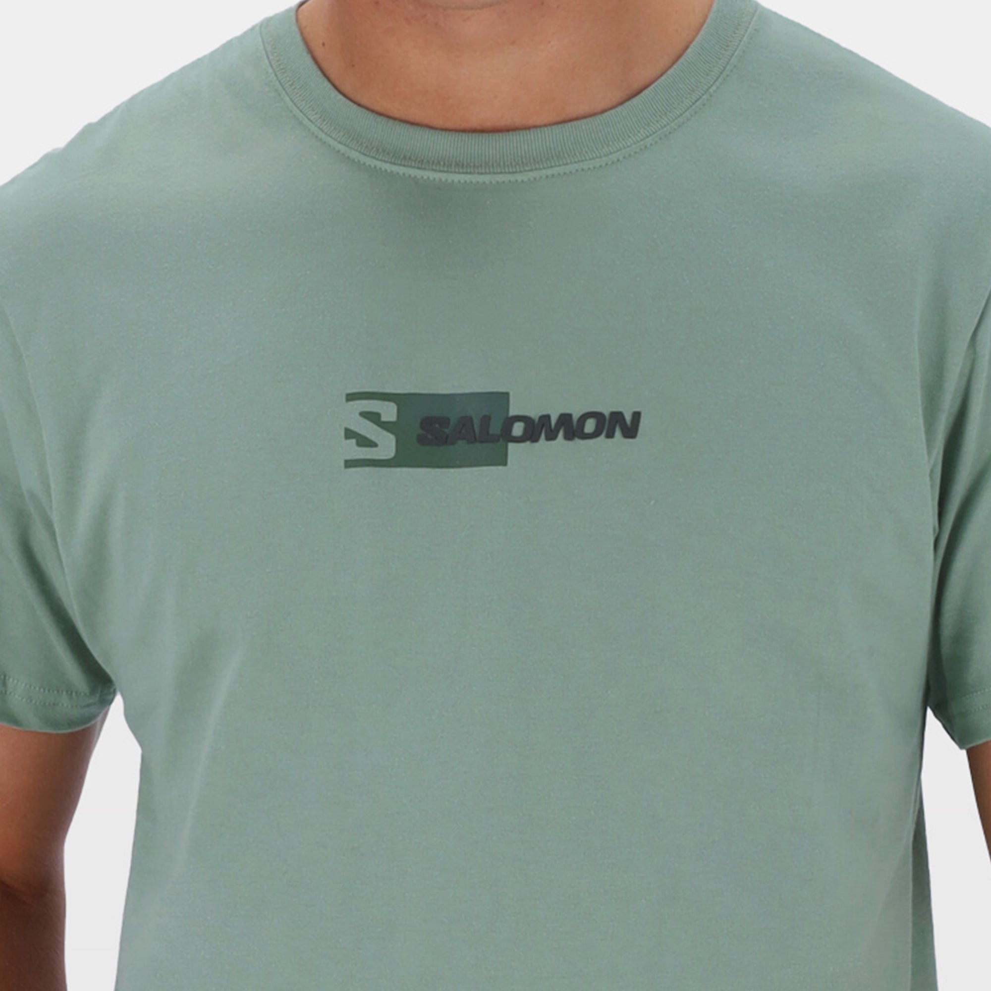 Salomon Hidden Graphic Tee: Lightweight, Comfortable Men's Short-Sleeve for Everyday Adventures