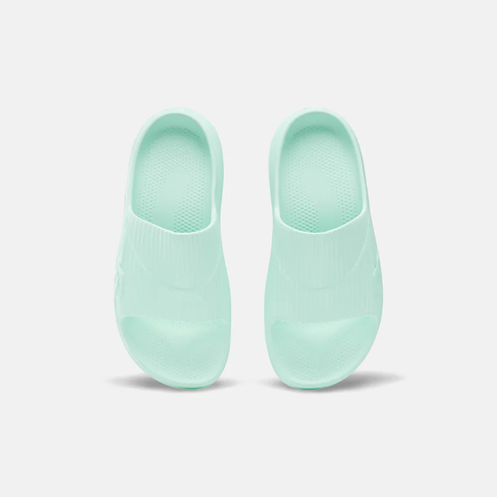 DMX Recovery Slides (4)