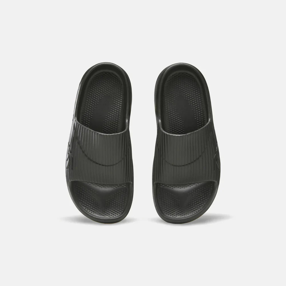 DMX Recovery Slides (4)