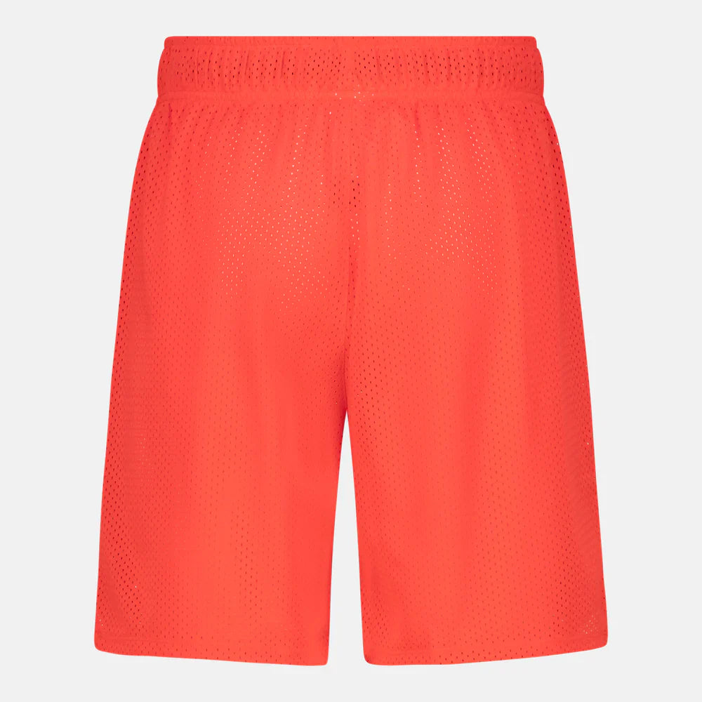Reebok Basketball Mesh Shorts