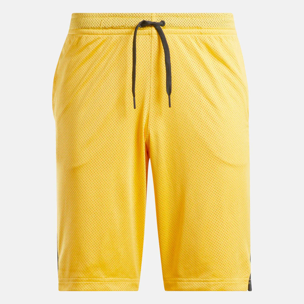 Above The Rim Hoopwear Shorts (3)
