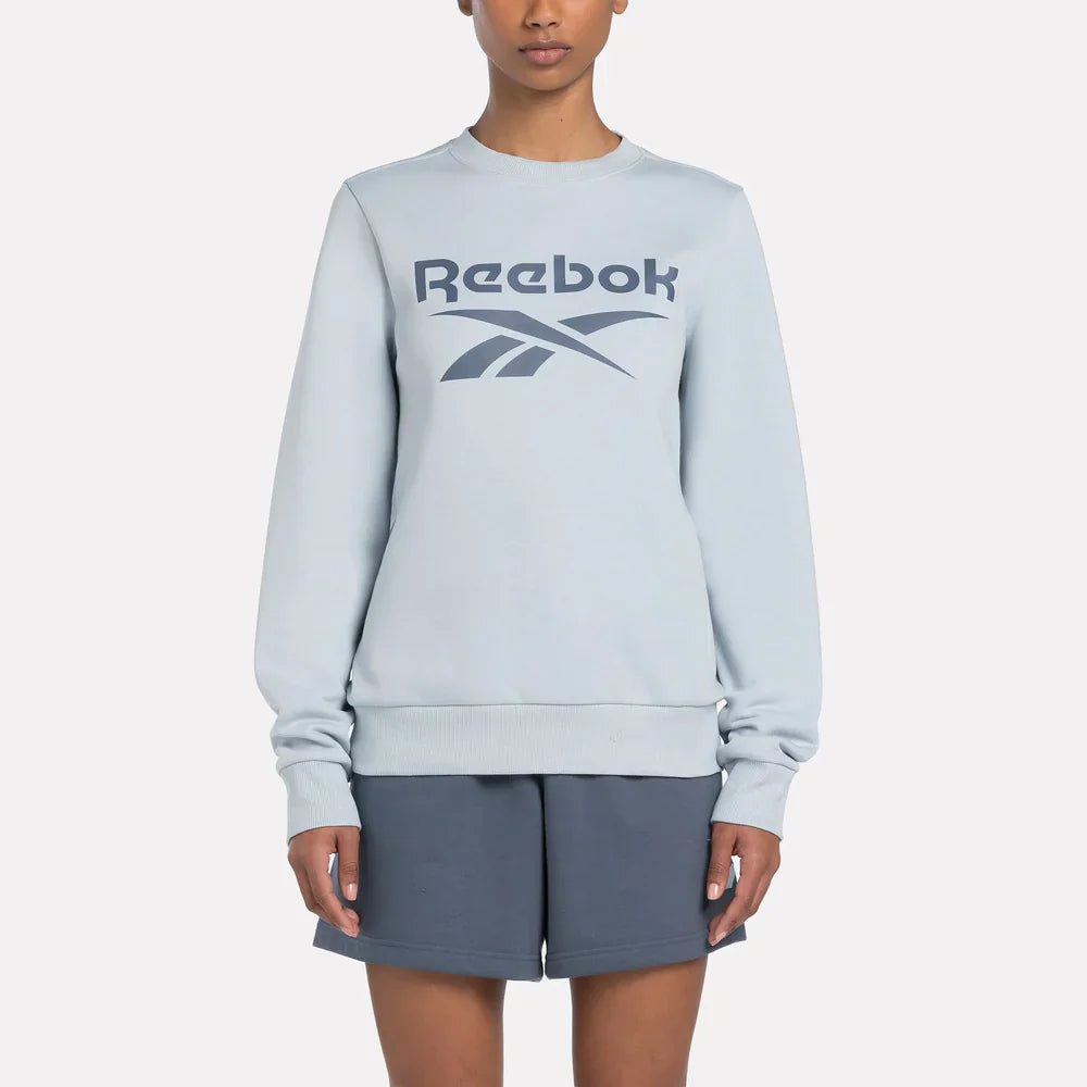 Reebok Identity Big Logo Fleece Crew Sweatshirt