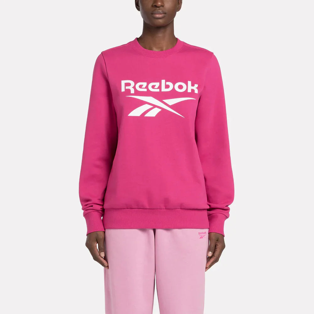 Reebok Identity Big Logo Fleece Crew Sweatshirt