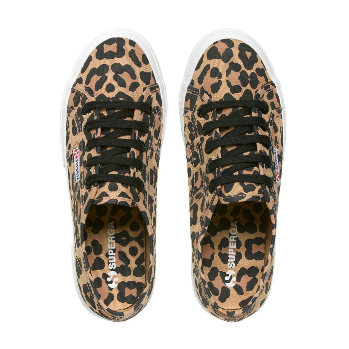 2750 Fantcotw - Big Classic Leopard