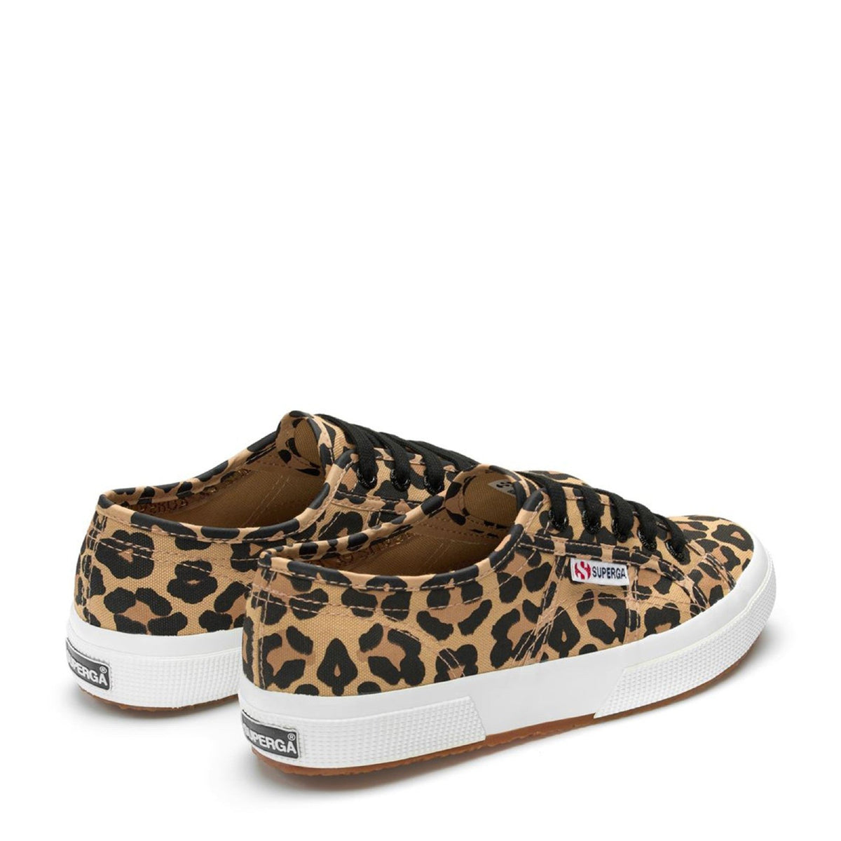 2750 Fantcotw - Big Classic Leopard