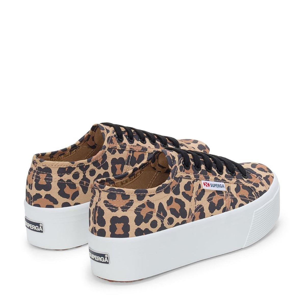 2790 Print - Big Classic Leopard