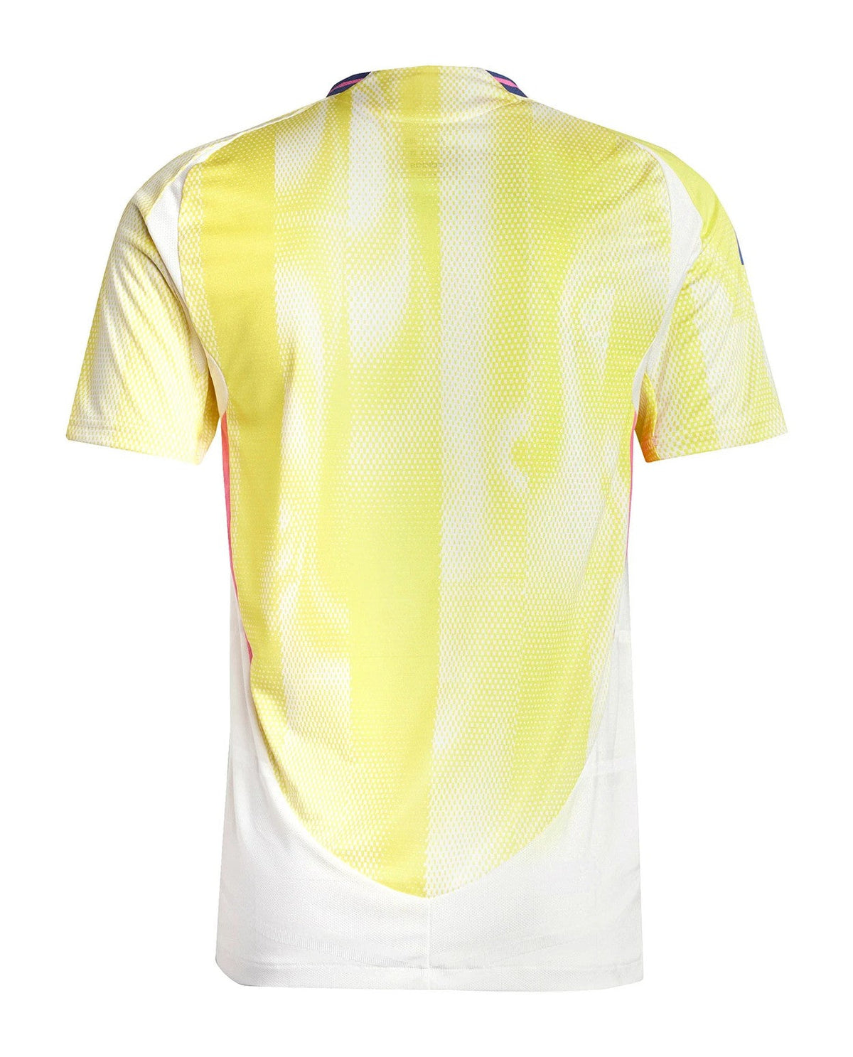 Juventus 24/25 Away Jersey (Player Version)