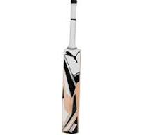 Puma Future JNR 2.1 Cricket Bat