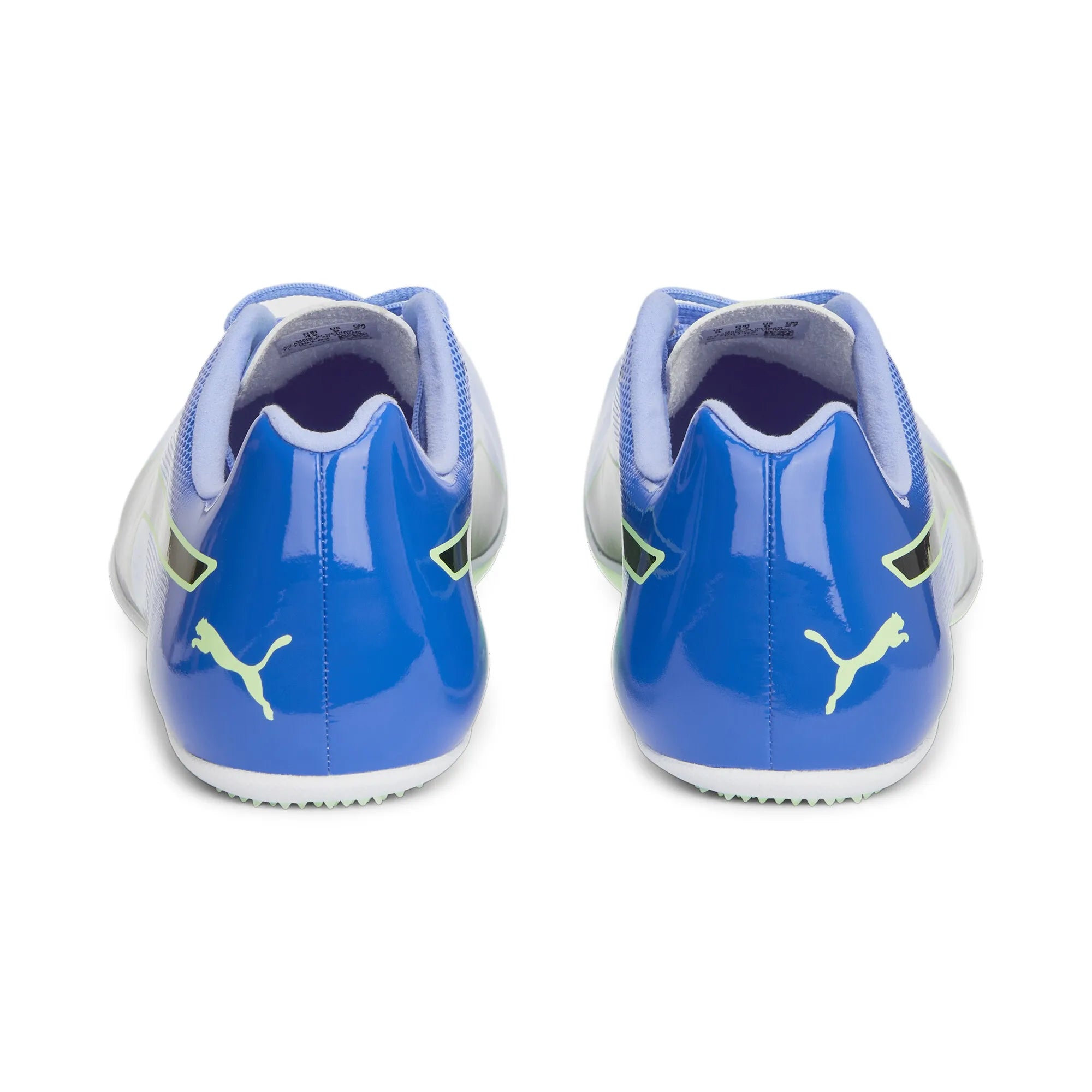 Puma Evospeed Sprint 14 Elektro Purple