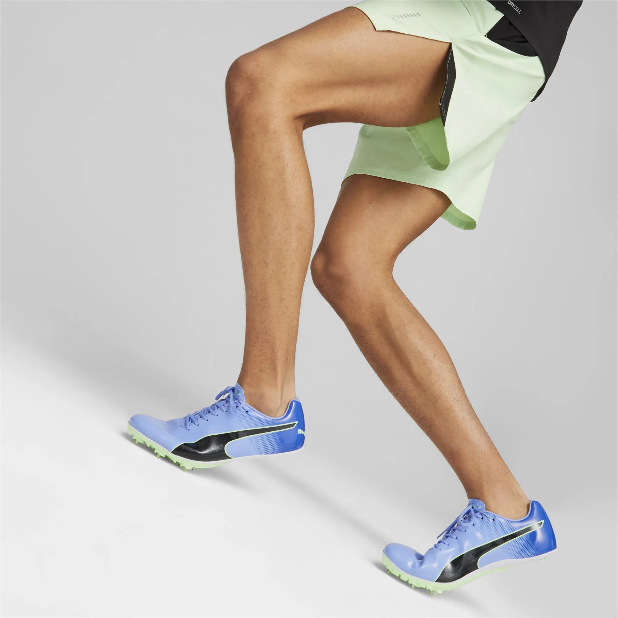 Puma Evospeed Sprint 14 Elektro Purple