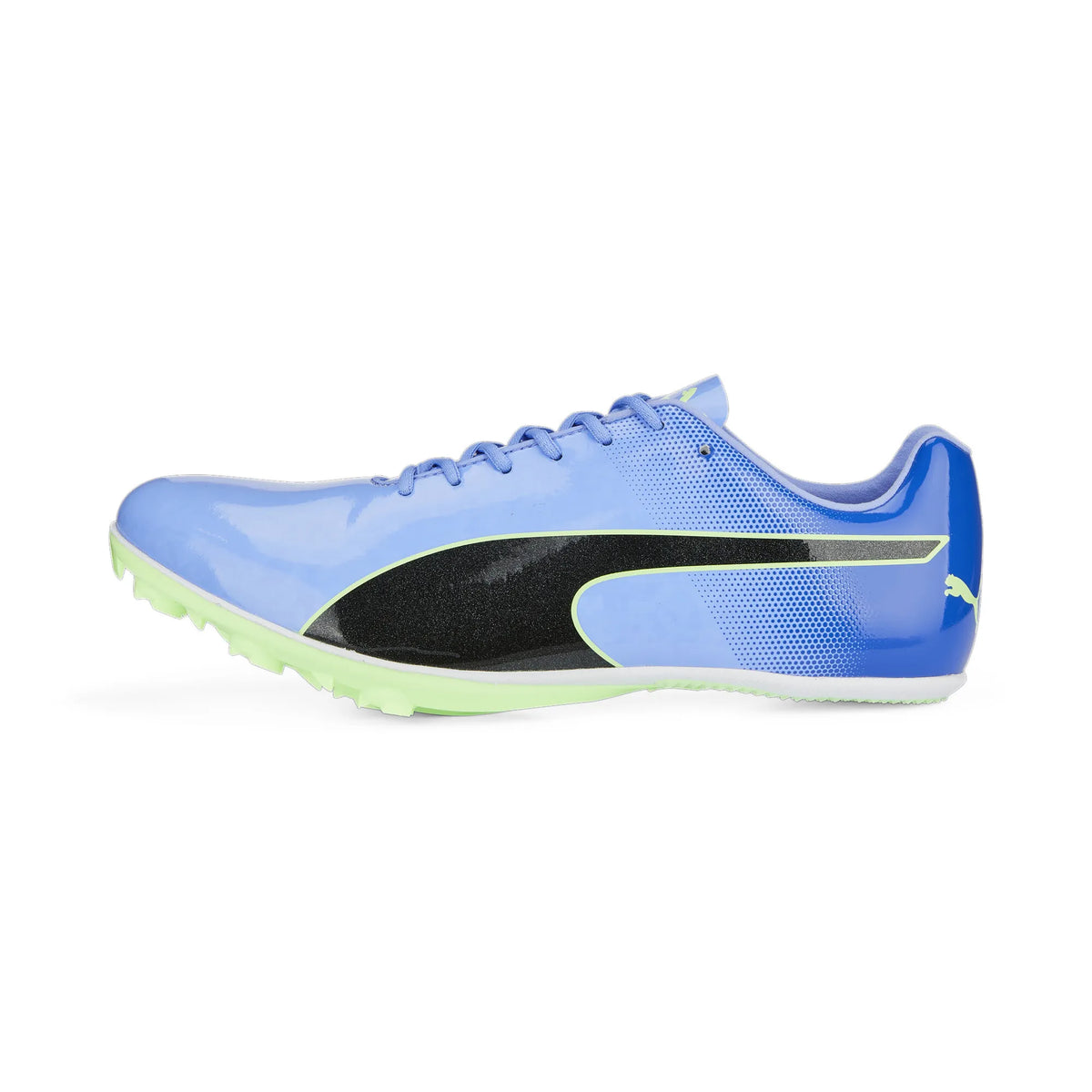 Puma Evospeed Sprint 14 Elektro Purple