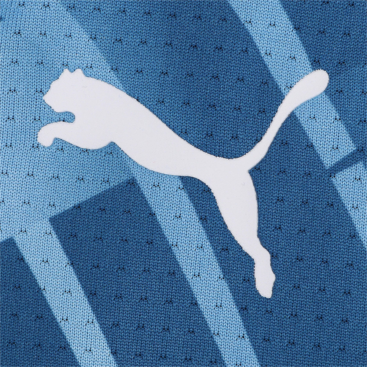 Puma Manchester City Prematch 2023/24 Jersey Men