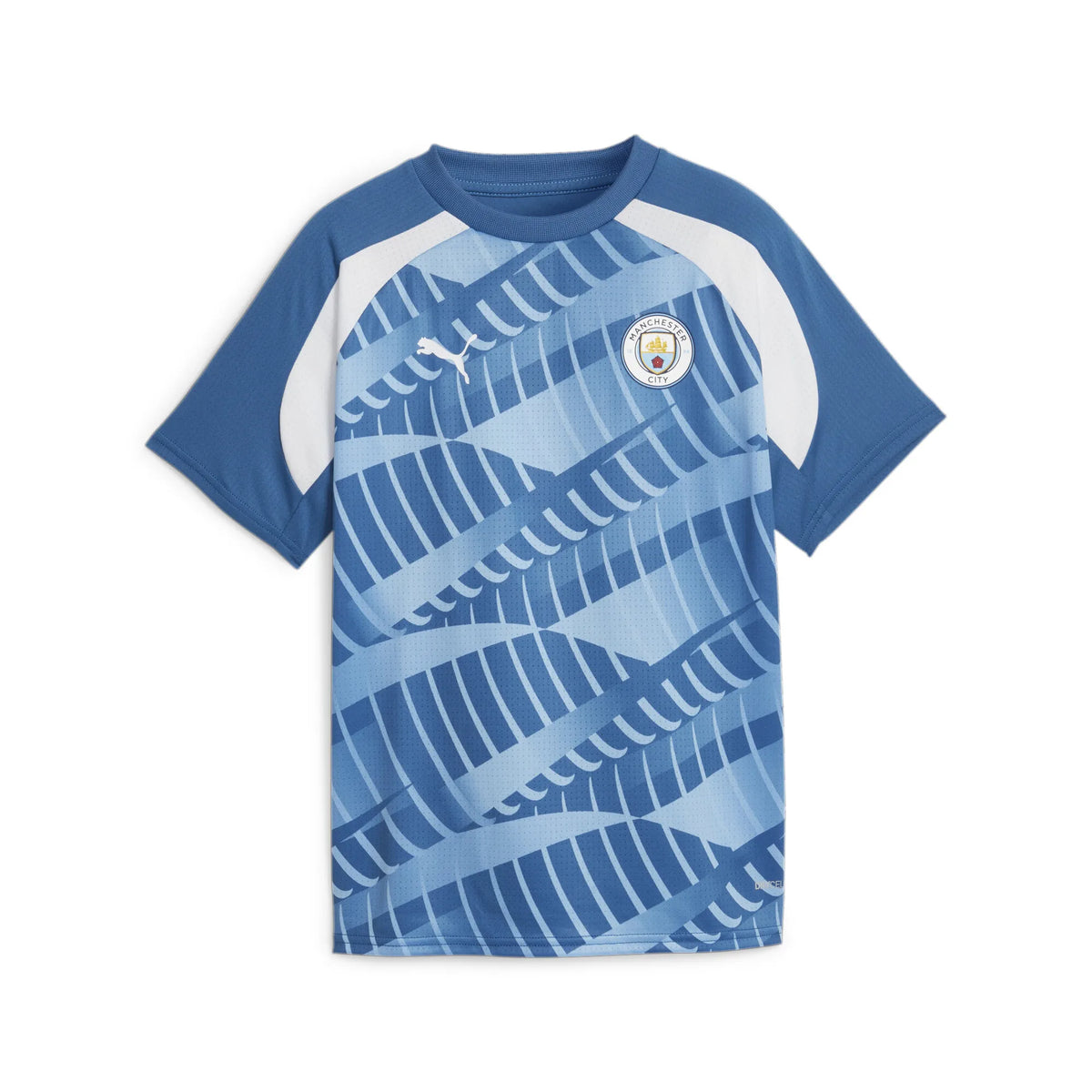 Puma Manchester City Prematch 2023/24 Jersey Men