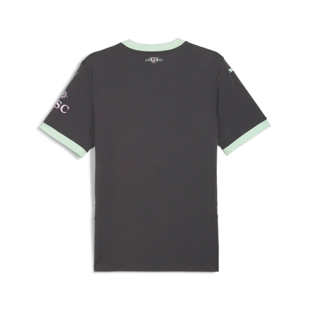 Puma AC Milan Third Jersey 24/25 Shadow Gray