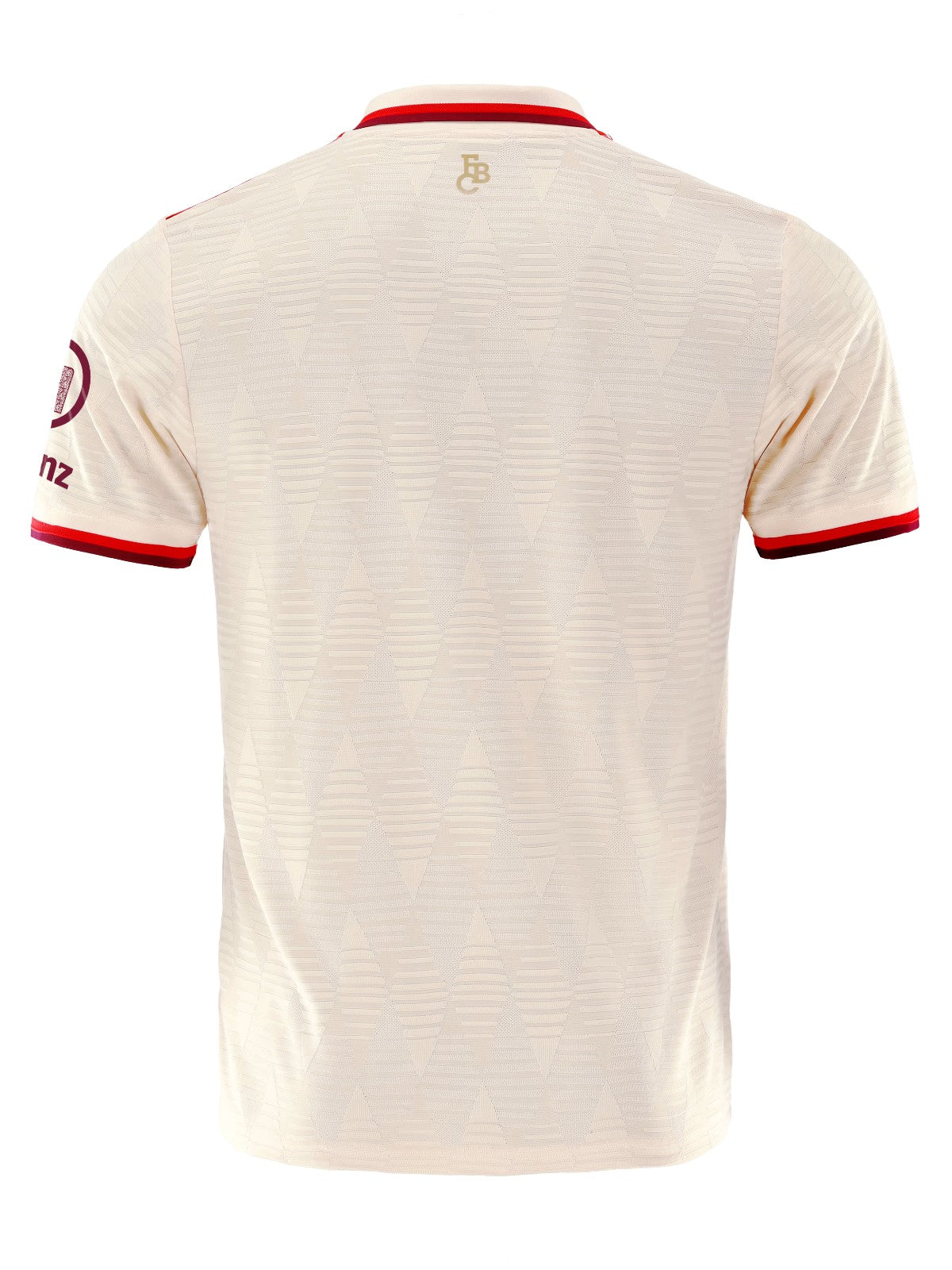 FC Bayern 24/25 Third Jersey (Player Version)